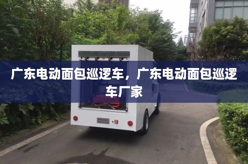 广东电动面包巡逻车，广东电动面包巡逻车厂家