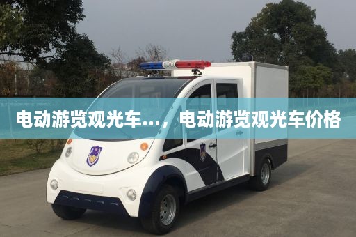 电动游览观光车...，电动游览观光车价格