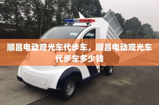 顺昌电动观光车代步车，顺昌电动观光车代步车多少钱