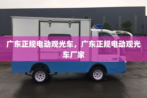 广东正规电动观光车，广东正规电动观光车厂家