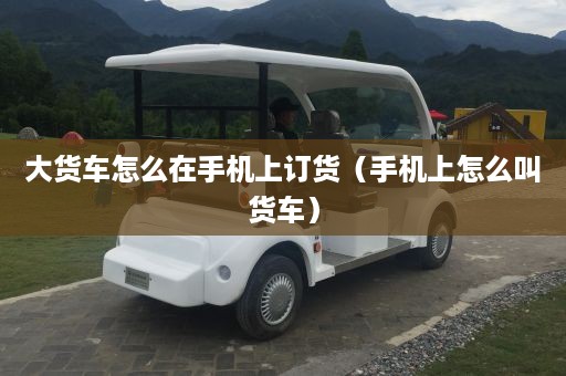 大货车怎么在手机上订货（手机上怎么叫货车）