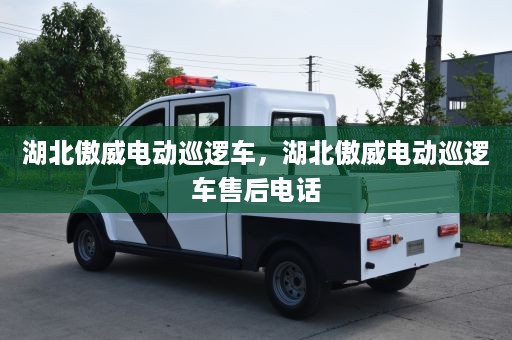 湖北傲威电动巡逻车，湖北傲威电动巡逻车售后电话