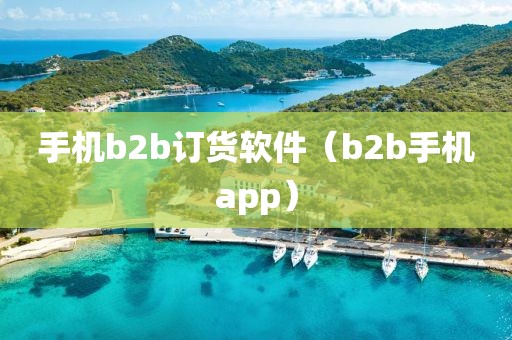 手机b2b订货软件（b2b手机app）