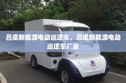 吕梁新能源电动巡逻车，吕梁新能源电动巡逻车厂家