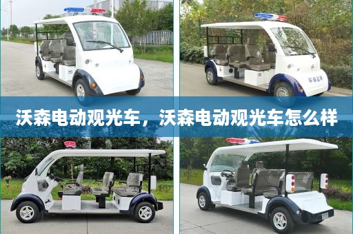 沃森电动观光车，沃森电动观光车怎么样