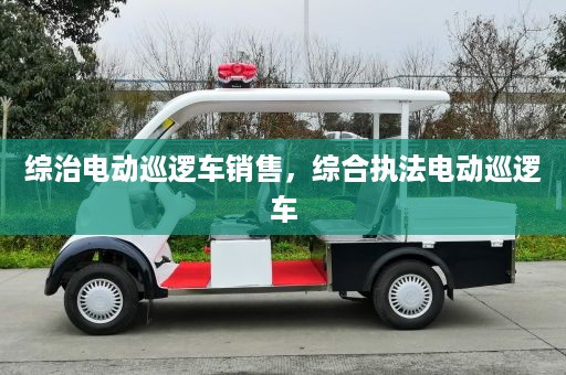 综治电动巡逻车销售，综合执法电动巡逻车