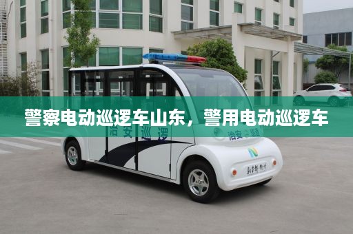 警察电动巡逻车山东，警用电动巡逻车