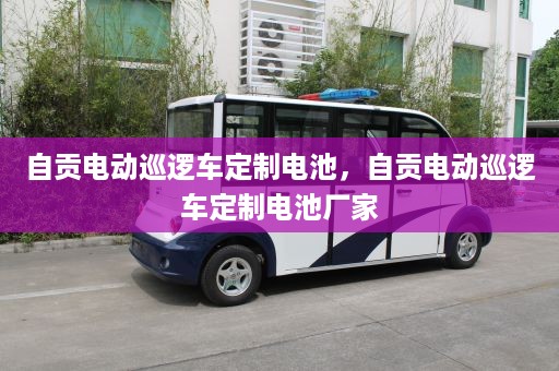 自贡电动巡逻车定制电池，自贡电动巡逻车定制电池厂家