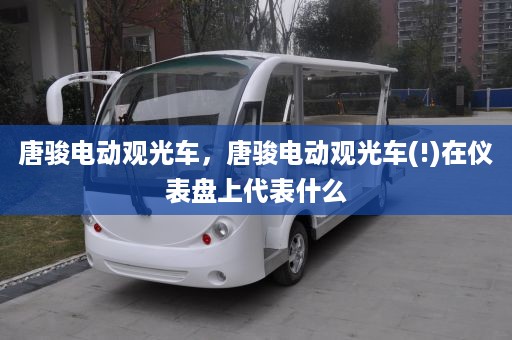 唐骏电动观光车，唐骏电动观光车(!)在仪表盘上代表什么