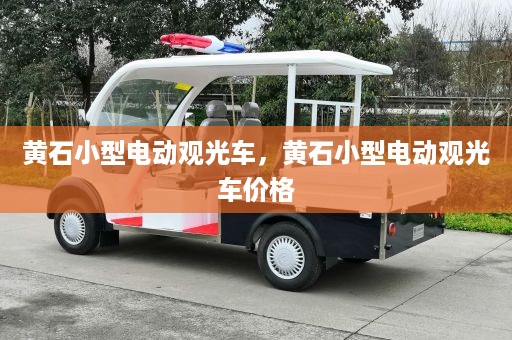 黄石小型电动观光车，黄石小型电动观光车价格