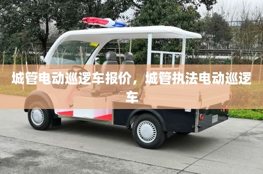 城管电动巡逻车报价，城管执法电动巡逻车