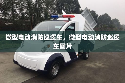 微型电动消防巡逻车，微型电动消防巡逻车图片