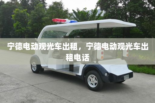 宁德电动观光车出租，宁德电动观光车出租电话