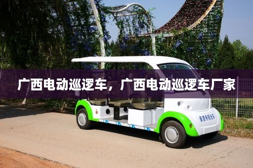 广西电动巡逻车，广西电动巡逻车厂家