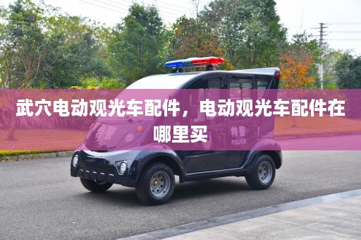 武穴电动观光车配件，电动观光车配件在哪里买