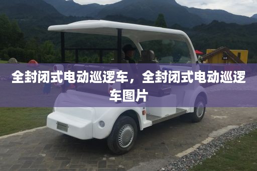 全封闭式电动巡逻车，全封闭式电动巡逻车图片