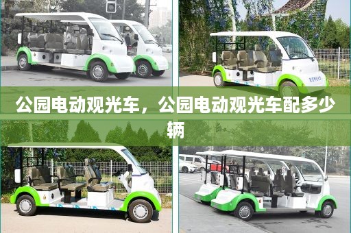 公园电动观光车，公园电动观光车配多少辆