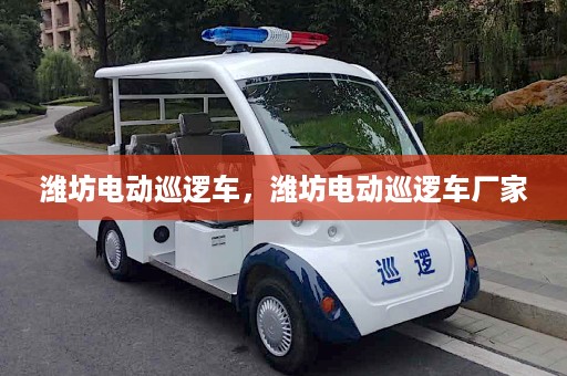 潍坊电动巡逻车，潍坊电动巡逻车厂家