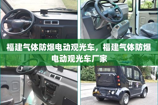 福建气体防爆电动观光车，福建气体防爆电动观光车厂家