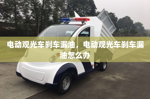 电动观光车刹车漏油，电动观光车刹车漏油怎么办