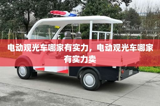 电动观光车哪家有实力，电动观光车哪家有实力卖