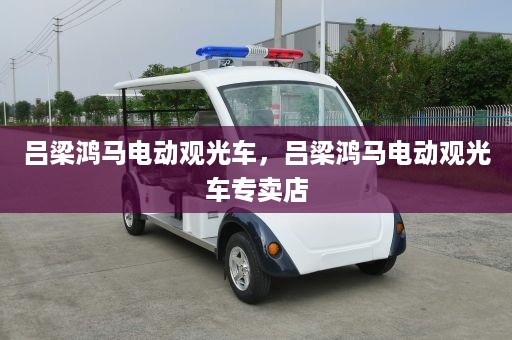 吕梁鸿马电动观光车，吕梁鸿马电动观光车专卖店