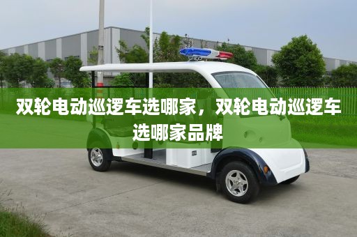 双轮电动巡逻车选哪家，双轮电动巡逻车选哪家品牌