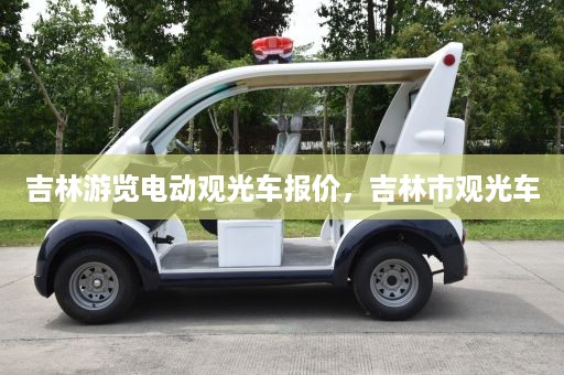 吉林游览电动观光车报价，吉林市观光车