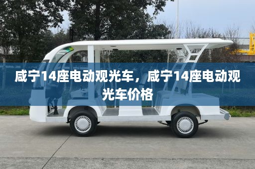 咸宁14座电动观光车，咸宁14座电动观光车价格