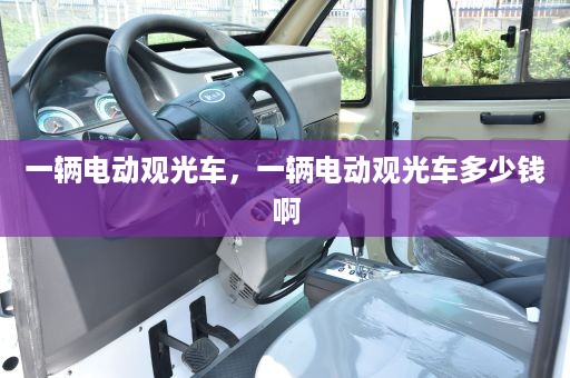 一辆电动观光车，一辆电动观光车多少钱啊