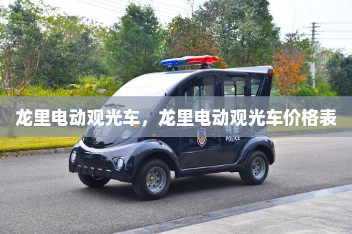 龙里电动观光车，龙里电动观光车价格表