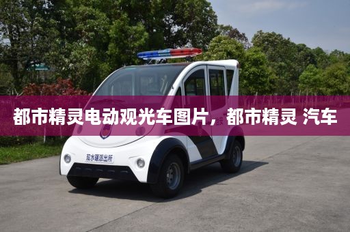 都市精灵电动观光车图片，都市精灵 汽车