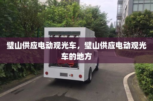 璧山供应电动观光车，璧山供应电动观光车的地方