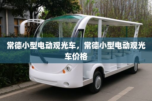 常德小型电动观光车，常德小型电动观光车价格