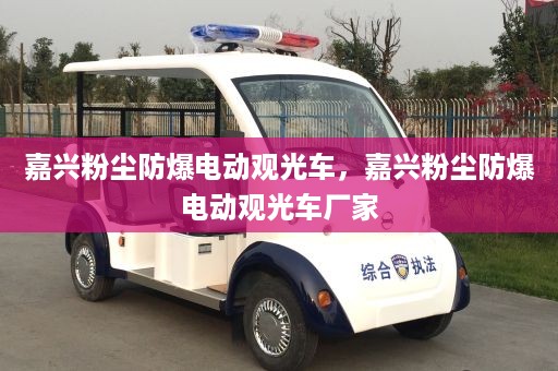 嘉兴粉尘防爆电动观光车，嘉兴粉尘防爆电动观光车厂家