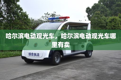 哈尔滨电动观光车，哈尔滨电动观光车哪里有卖