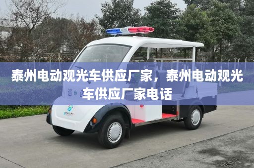 泰州电动观光车供应厂家，泰州电动观光车供应厂家电话