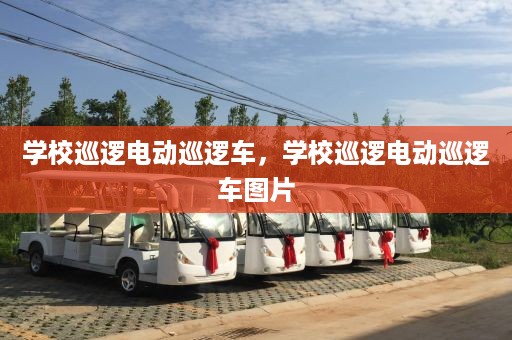 学校巡逻电动巡逻车，学校巡逻电动巡逻车图片