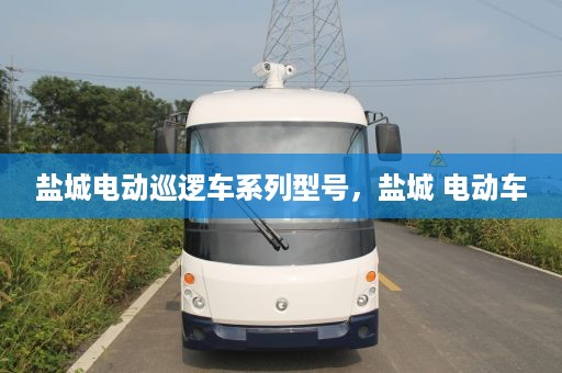 盐城电动巡逻车系列型号，盐城 电动车