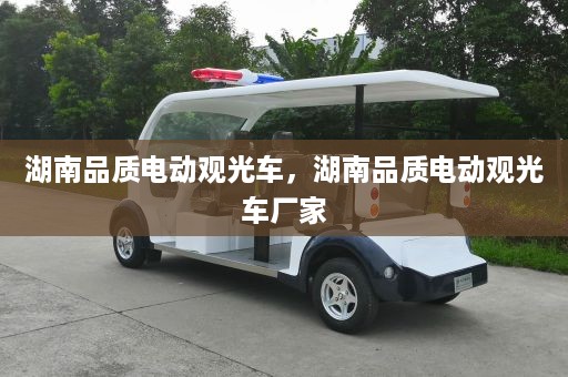 湖南品质电动观光车，湖南品质电动观光车厂家