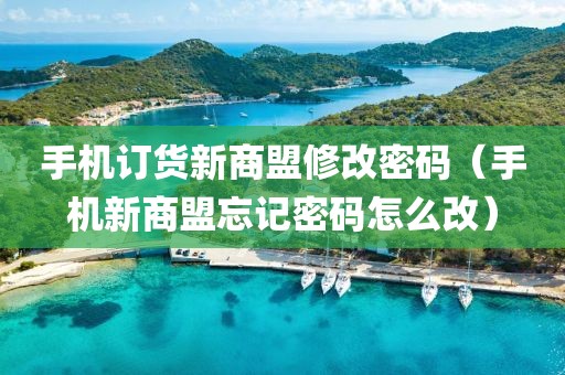 手机订货新商盟修改密码（手机新商盟忘记密码怎么改）