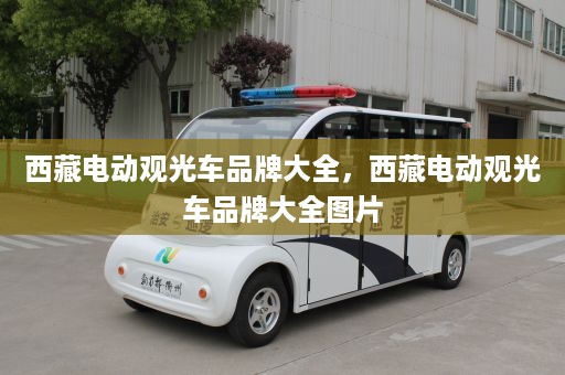 西藏电动观光车品牌大全，西藏电动观光车品牌大全图片