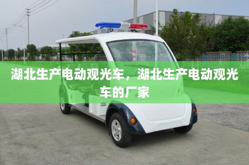 湖北生产电动观光车，湖北生产电动观光车的厂家