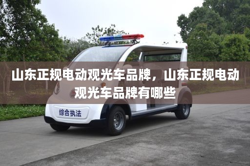 山东正规电动观光车品牌，山东正规电动观光车品牌有哪些