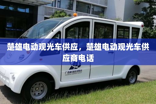 楚雄电动观光车供应，楚雄电动观光车供应商电话