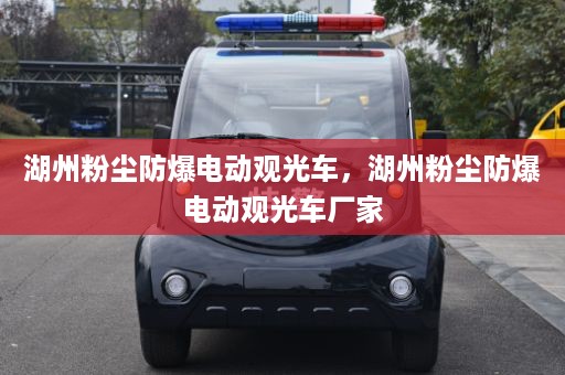 湖州粉尘防爆电动观光车，湖州粉尘防爆电动观光车厂家