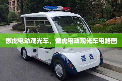 傲虎电动观光车，傲虎电动观光车电路图