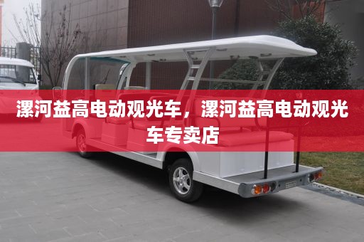 漯河益高电动观光车，漯河益高电动观光车专卖店