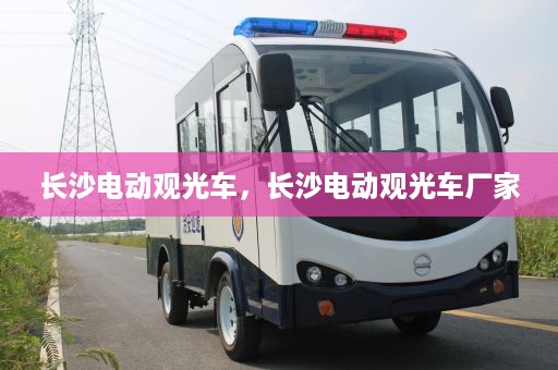 长沙电动观光车，长沙电动观光车厂家