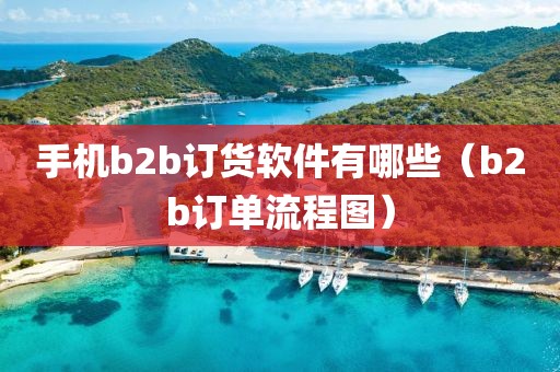 手机b2b订货软件有哪些（b2b订单流程图）